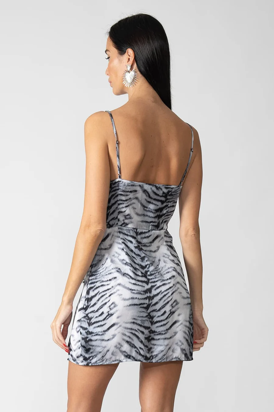 Zebra Print Dress